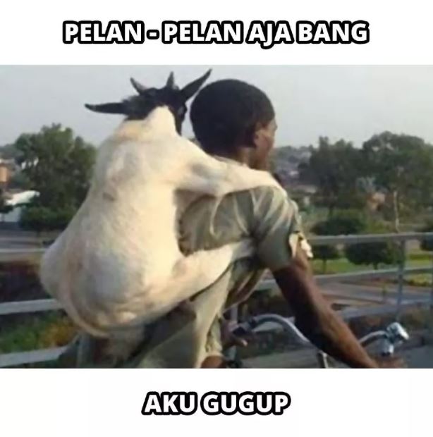 Potret kocak yang relate di momen Idul Adha Berbagai sumber