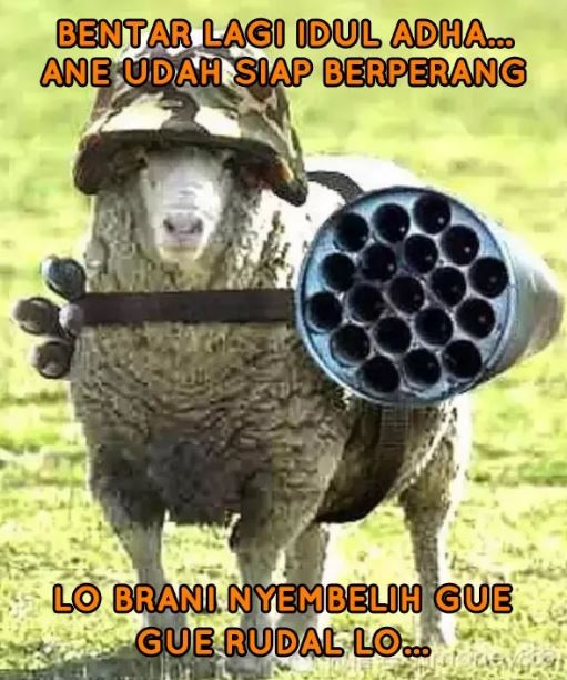 Potret kocak yang relate di momen Idul Adha Berbagai sumber