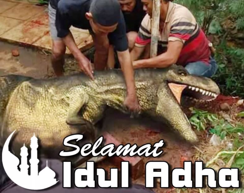 Potret kocak yang relate di momen Idul Adha Berbagai sumber