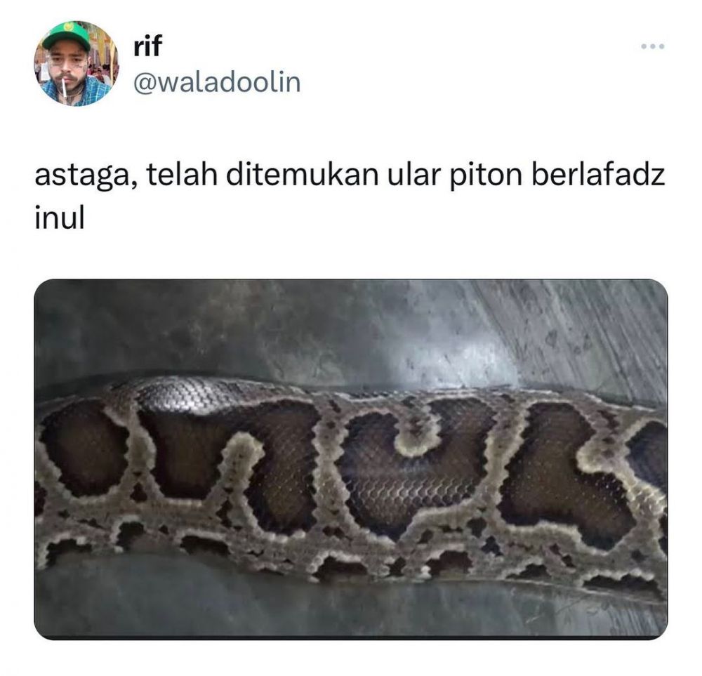 Potret kebetulan pada hewan Berbagai sumber