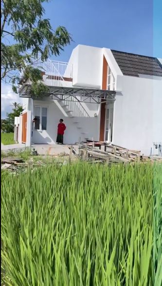 potret hunian di pinggir sawah © TikTok