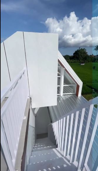 potret hunian di pinggir sawah © TikTok