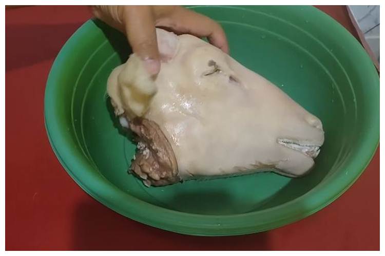 Tanpa perlu dibakar, ini cara praktis membersihkan kepala kambing sebelum diolah jadi masakan