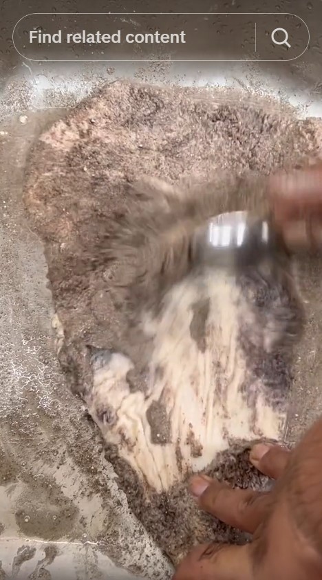 Tak perlu direndam, ini trik membersihkan babat hitam agar jadi putih pakai 1 bahan