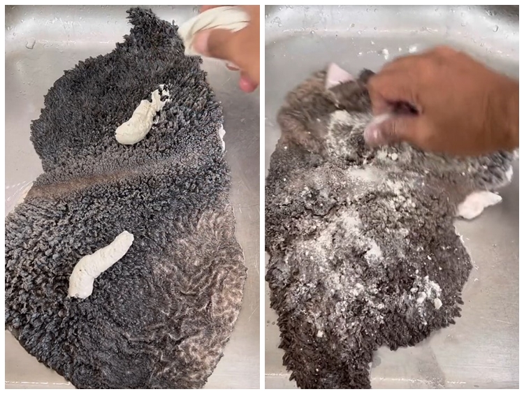 Tak perlu direndam, ini trik membersihkan babat hitam agar jadi putih pakai 1 bahan