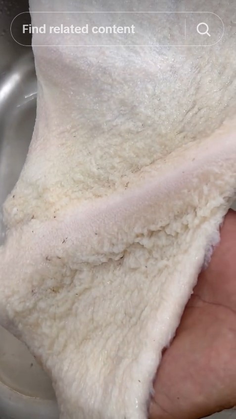 Tak perlu direndam, ini trik membersihkan babat hitam agar jadi putih pakai 1 bahan