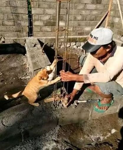 potret kocak tembok bikinan kuli bangunan Berbagai sumber