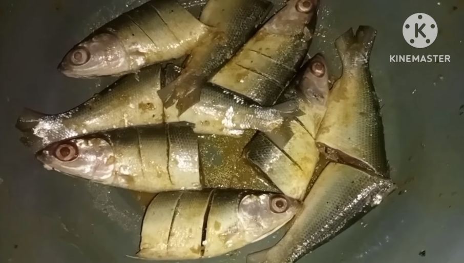 Bukan dikeringkan atau dimasukkan kulkas, ini cara mudah mengawetkan ikan agar tahan berhari-hari
