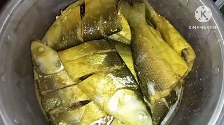 Bukan dikeringkan atau dimasukkan kulkas, ini cara mudah mengawetkan ikan agar tahan berhari-hari