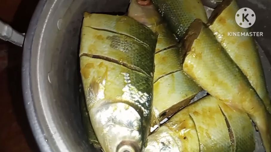 Bukan dikeringkan atau dimasukkan kulkas, ini cara mudah mengawetkan ikan agar tahan berhari-hari