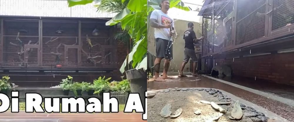  potret kebun binatang mini di hunian mewah seleb © berbagai sumber