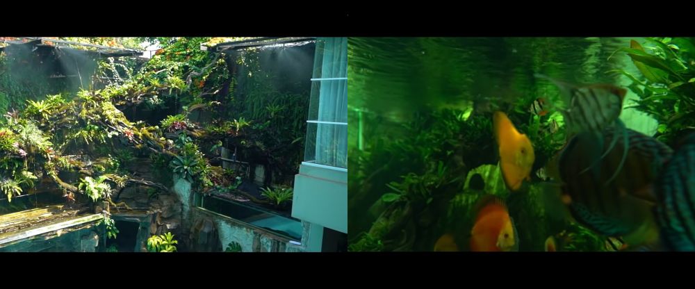  potret kebun binatang mini di hunian mewah seleb © berbagai sumber