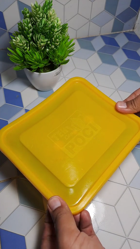 Tanpa bahan apa pun, ini trik simpan ayam ungkep agar tidak berair, bau, dan tahan berminggu-minggu
