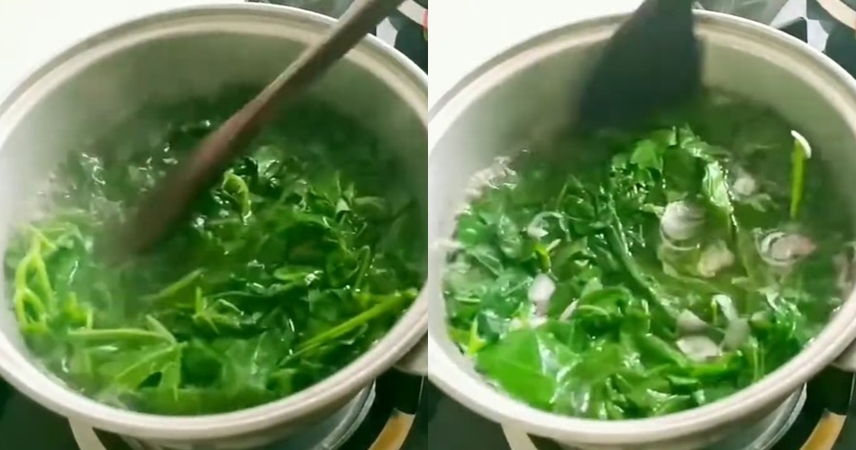 Cara praktis merebus daun singkong agar tetap hijau dan empuk pakai 3 bahan dapur