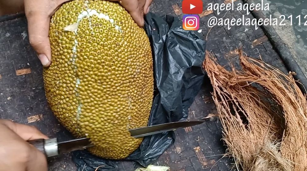 Jangan cuma dioles minyak, ini trik mengupas nangka muda agar getahnya tak lengket di tangan dan pisau