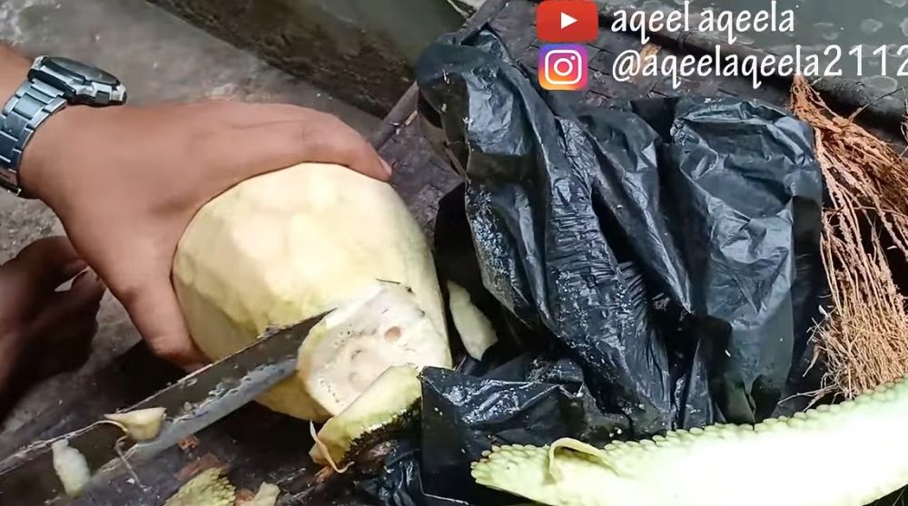 Jangan cuma dioles minyak, ini trik mengupas nangka muda agar getahnya tak lengket di tangan dan pisau
