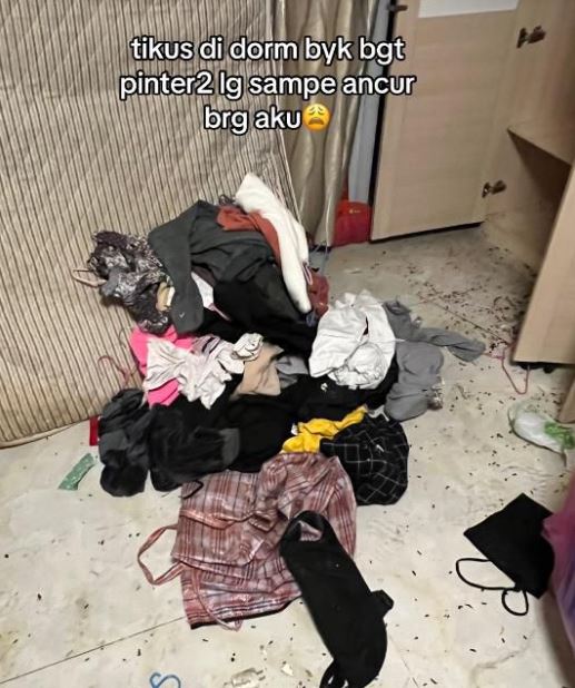 penampakan asrama mahasiswa Indonesia di China TikTok