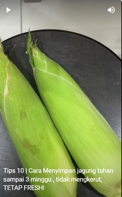 Tanpa dimasukkan freezer, ini cara menyimpan jagung agar tetap manis dan tak mengerut hingga 3 minggu