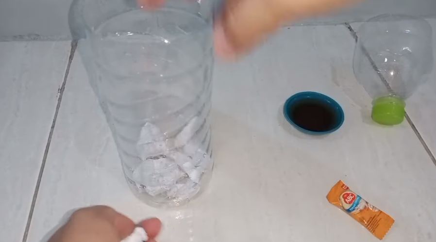 Cara sederhana bikin perangkap kecoak cuma pakai 2 bahan dapur, mudah ditiru