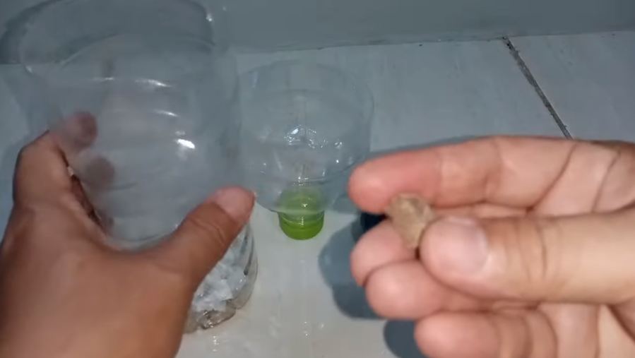 Cara sederhana bikin perangkap kecoak cuma pakai 2 bahan dapur, mudah ditiru