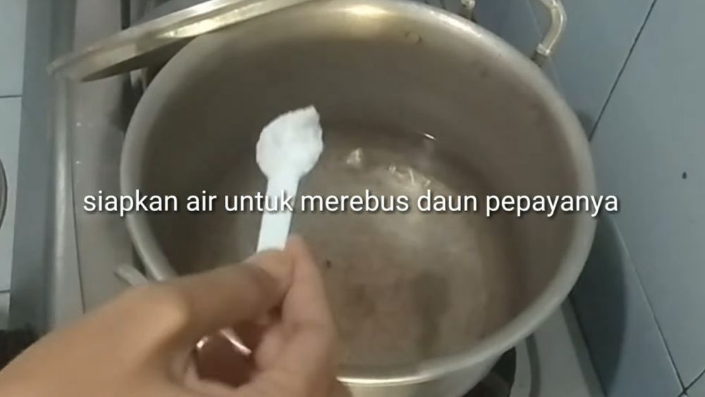 Trik merebus daun pepaya agar rasa pahitnya hilang tanpa tanah liat dan asam jawa