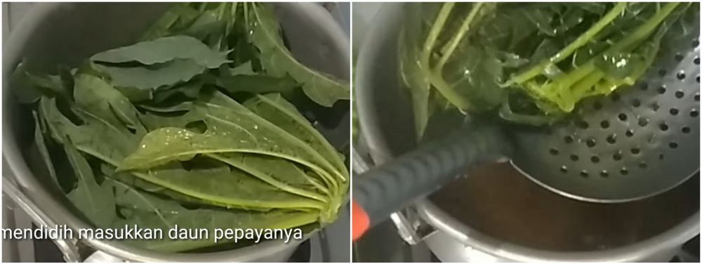 Trik merebus daun pepaya agar rasa pahitnya hilang tanpa tanah liat dan asam jawa
