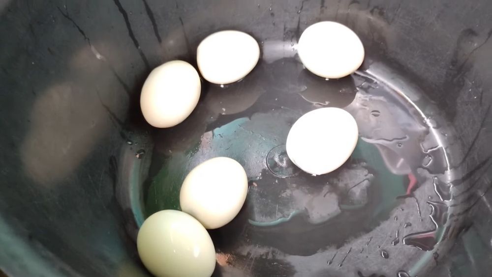 Tak perlu direndam air es, begini trik mengupas telur dalam jumlah banyak agar hemat waktu dan tenaga