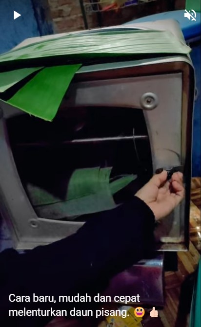 Trik cepat melenturkan daun pisang dalam jumlah banyak, lebih praktis dan hemat waktu