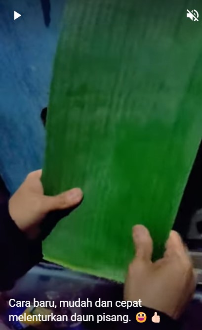 Trik cepat melenturkan daun pisang dalam jumlah banyak, lebih praktis dan hemat waktu
