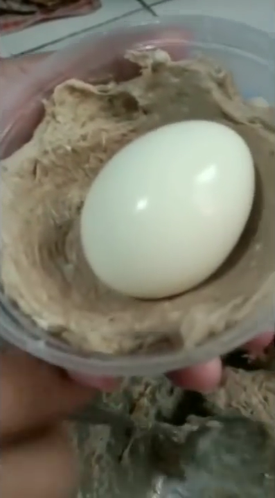 Aksi cerdas warganet mencetak bakso telur ini hasilnya bulat, antibocor, dan tidak mengotori tangan