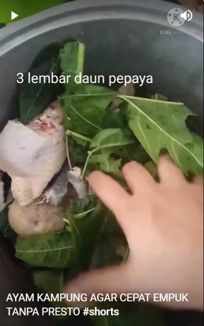 Bukan direbus, ini trik ampuh mengempukkan ayam kampung pakai 1 bahan dapur