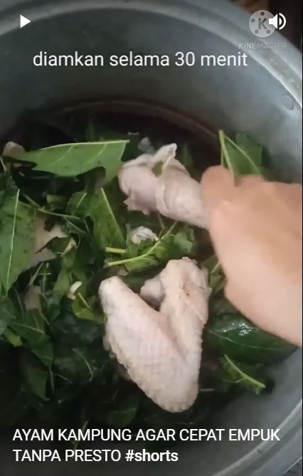 Bukan direbus, ini trik ampuh mengempukkan ayam kampung pakai 1 bahan dapur