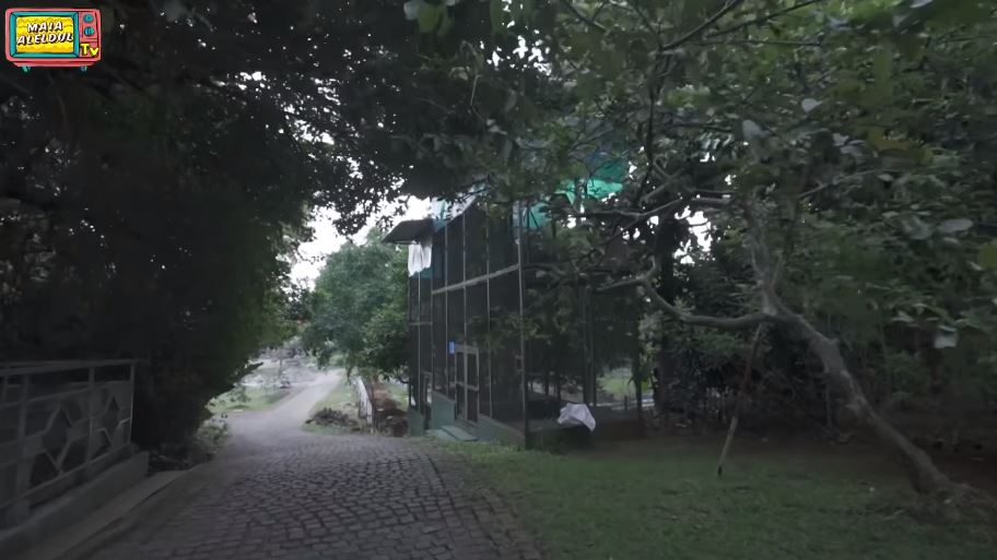 Bak hutan di tengah kota, intip 13 penampakan rumah Bang Yos eks Gubernur DKI Jakarta