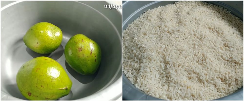 Jangan ditusuk lidi, ini trik mematangkan alpukat agar tak terlalu busuk dan kulit tetap hijau segar