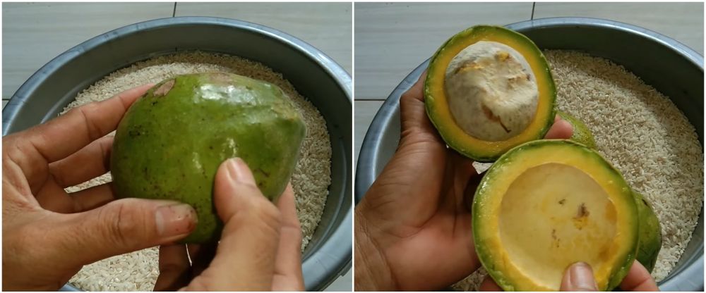 Jangan ditusuk lidi, ini trik mematangkan alpukat agar tak terlalu busuk dan kulit tetap hijau segar