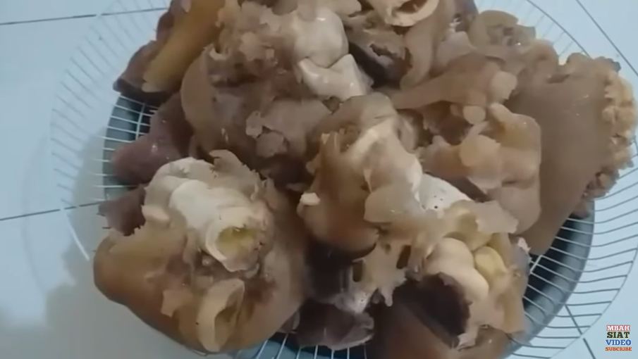 Trik praktis merebus kikil sapi agar empuk, kenyal, dan bebas bau cuma pakai 3 jenis rempah
