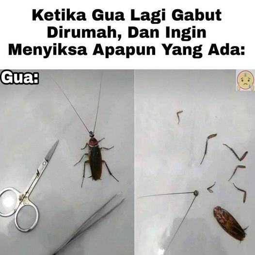 kegiatan unfaedah © berbagai sumber