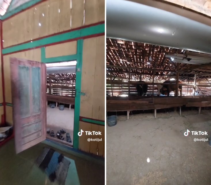 rumah kampung bak lapangan © TikTok rumah kampung bak lapangan © TikTok