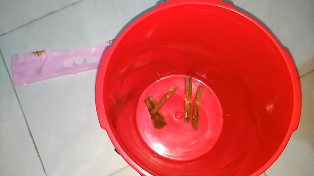 Pakai 1 jenis rempah, begini cara aman menyimpan beras supaya tak bau dan bebas kutu