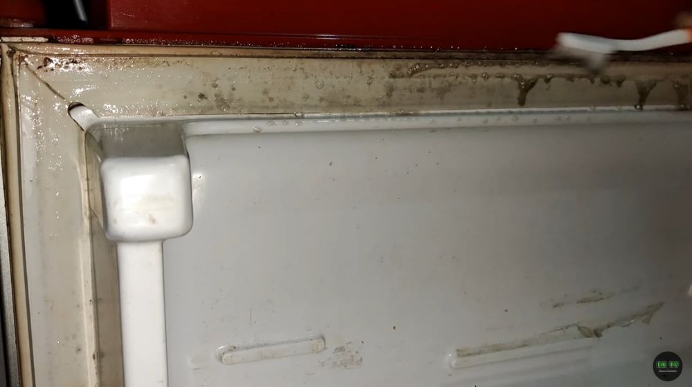 Tanpa perlu pasta gigi, ini trik menghilangkan jamur di karet kulkas pakai 2 bahan