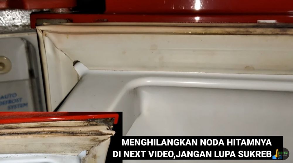 Tanpa perlu pasta gigi, ini trik menghilangkan jamur di karet kulkas pakai 2 bahan