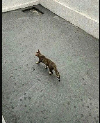 Potret kocak jalan cor rusak Berbagai sumber Potret kocak jalan cor rusak Berbagai sumber