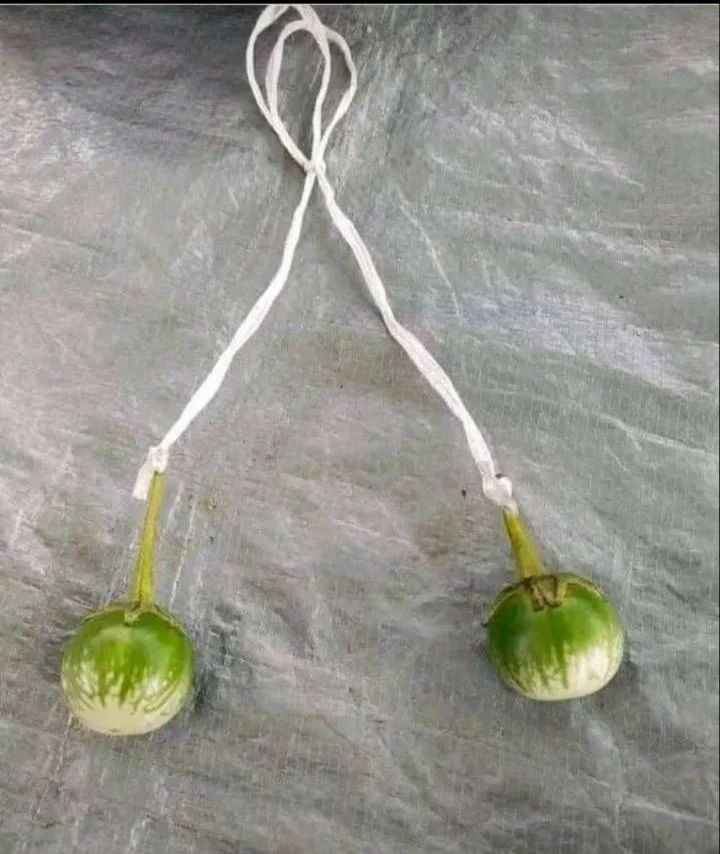 Potret lucu makanan bikin oleng Berbagai sumber