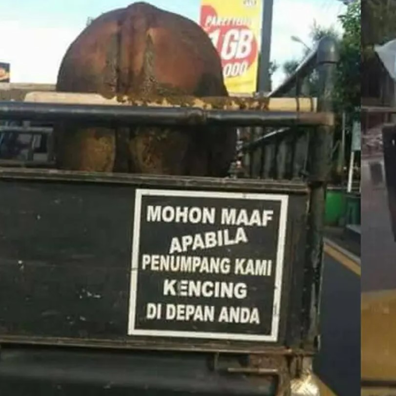 Tulisan lucu di truk bikin takut Berbagai sumber Tulisan lucu di truk bikin takut Berbagai sumber