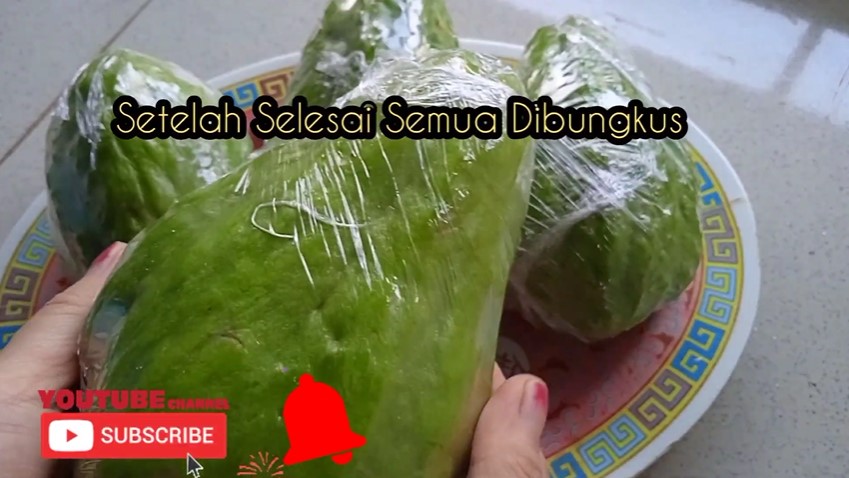 Cara jitu menyimpan labu siam, tak busuk hingga 1 bulan tanpa ditaruh freezer