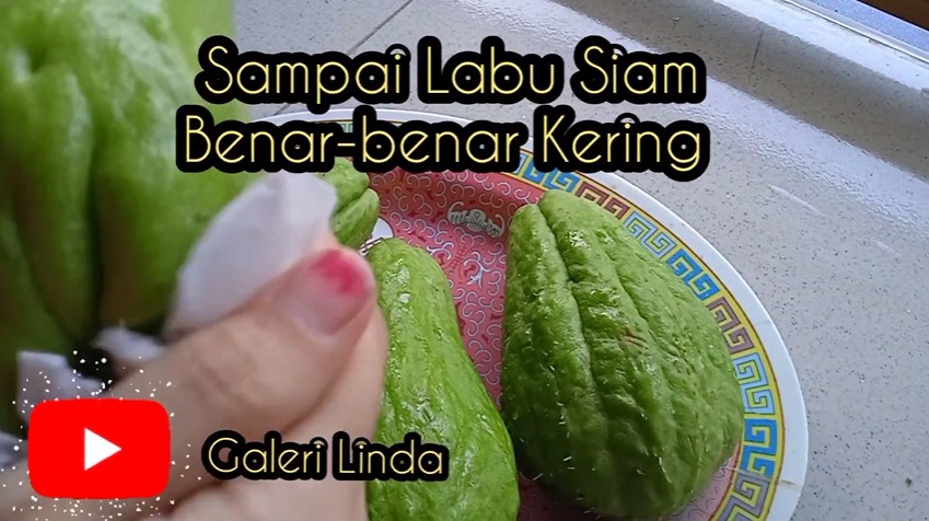 Cara jitu menyimpan labu siam, tak busuk hingga 1 bulan tanpa ditaruh freezer