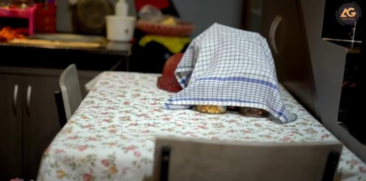 jebolan LIDA dulu tinggal di gubuk reyot © YouTube