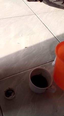 Trik mudah hilangkan bau sabun di kemasan jerigen cuma pakai 1 jenis minuman