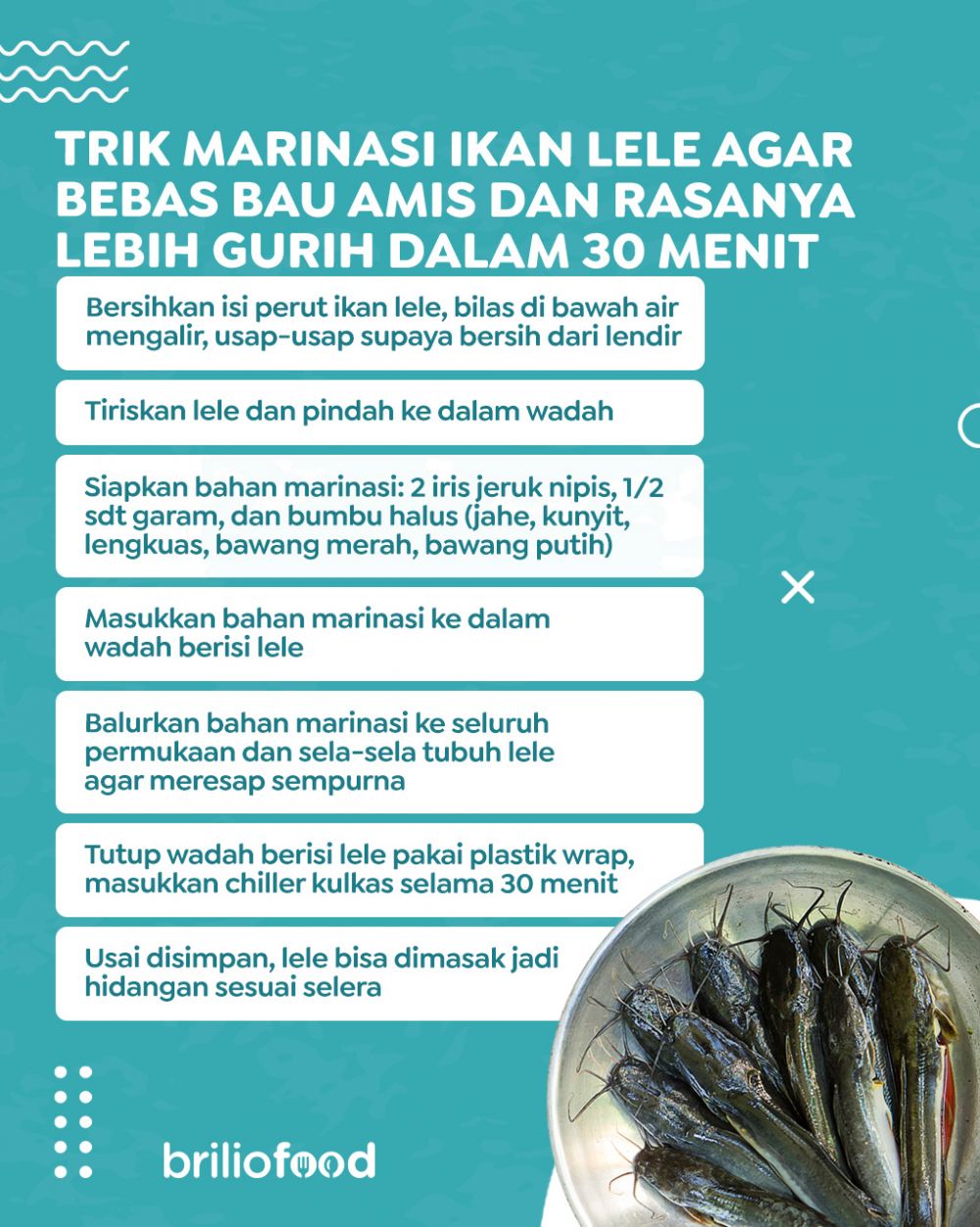 Jangan cuma pakai jeruk nipis, ini trik marinasi lele agar bebas bau amis dan lebih gurih