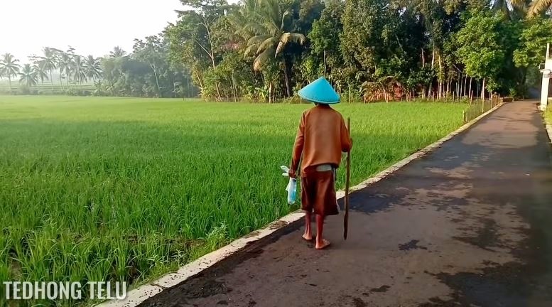 suasana desa bak lukisan © YouTube